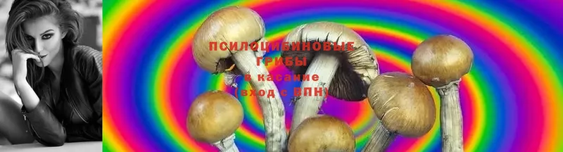 Меф Ковылкино